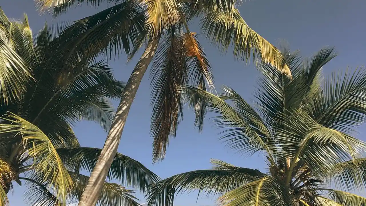 李宜菁头像